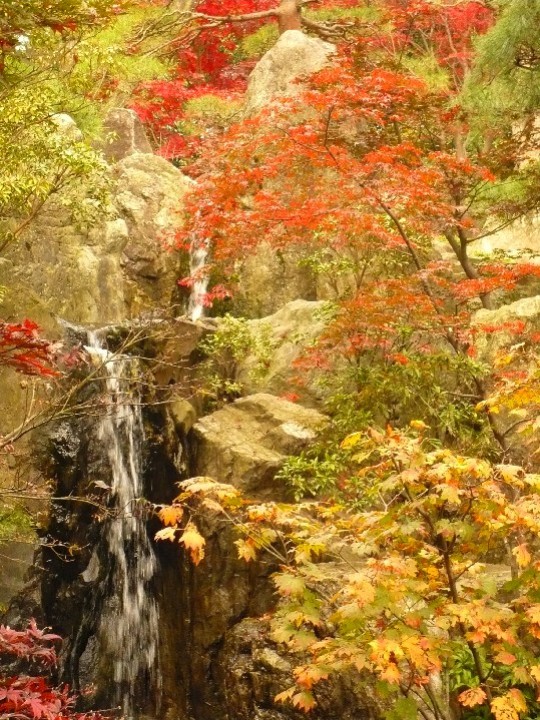 平林寺奥庭園秋景の写真