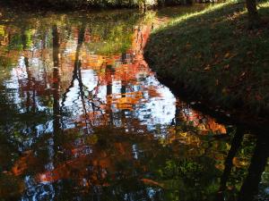 平林寺内の放生池の水面に写った紅葉