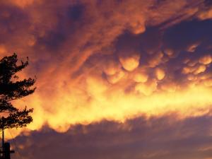 夕焼雲の写真