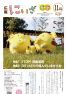 令和元年広報にいざ11月号(Webブック版)
