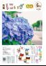 令和4年広報にいざ6月号(Webブック版)