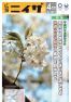 平成30年広報にいざ4月号（Webブック版)