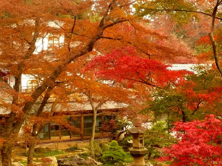 平林寺奥庭園秋景の写真