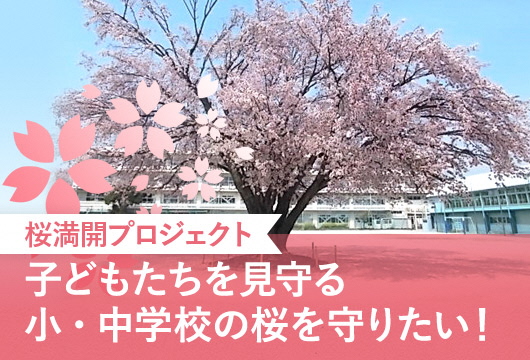 桜プロジェクト