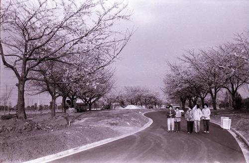 栄緑道完成時の写真