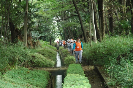 野火止用水