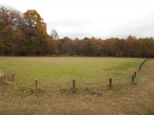 総合運動公園