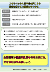 ハトえさやり裏