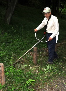 活動の様子