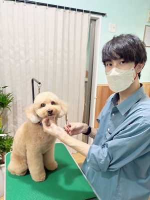 和田さんとトリミング中のワンちゃんの写真です。