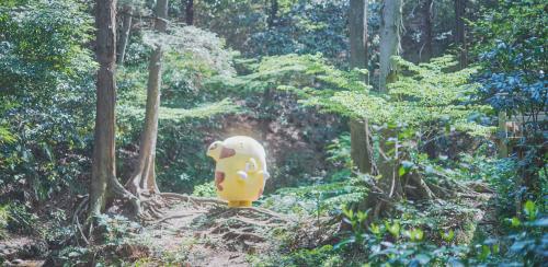 にいざのみどころトップ画像