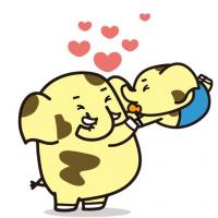 ゾウキリン