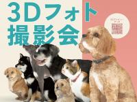 出店者提供の写真です。