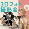 ドッグカフェ ラックリック