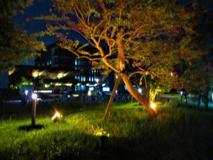 R7ライトアップ１