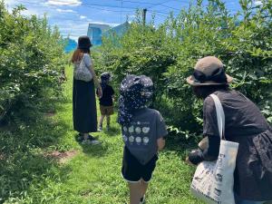 ブルーベリー狩り