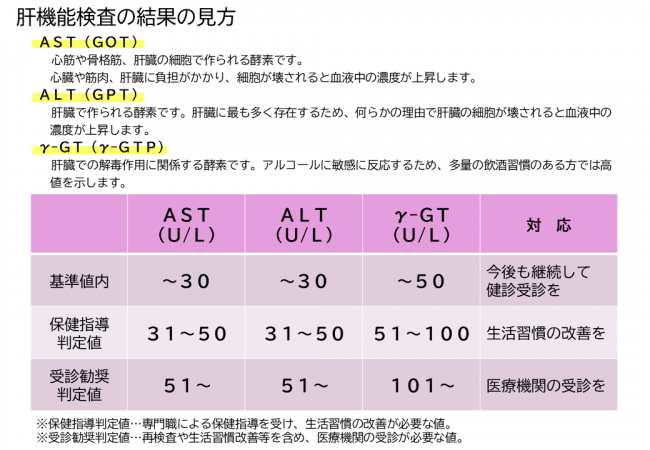 肝機能の検査結果の見方