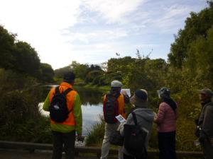 金山調整池の様子