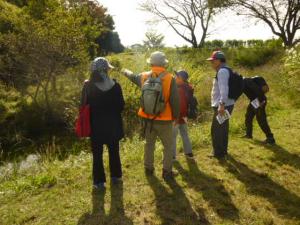 柳の種類について解説を受ける様子