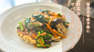 野菜あんで食べる　サバ缶の豆腐ハンバーグ