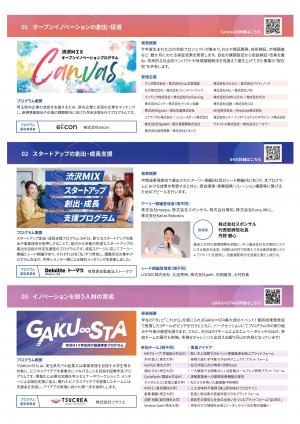 渋沢MIX成果発表会のチラシです。