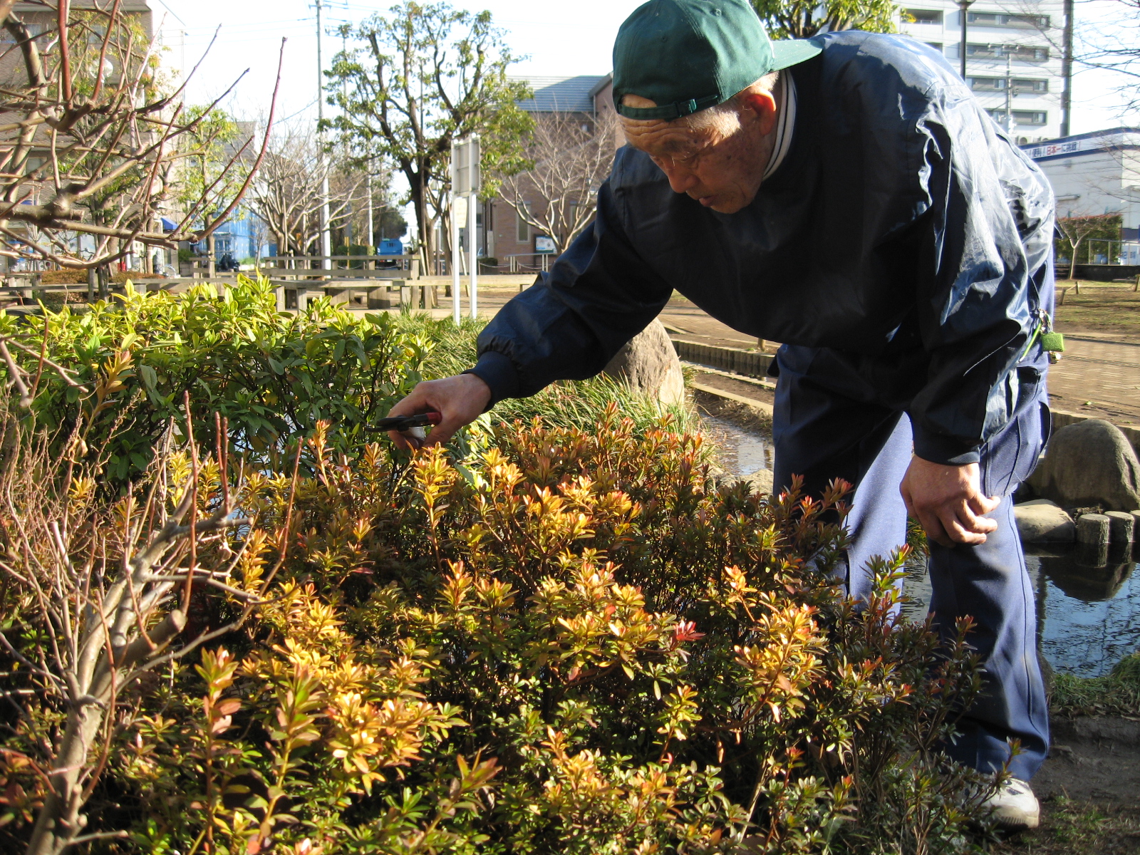 公園低木･生垣刈り込みｻﾎﾟｰﾀｰ