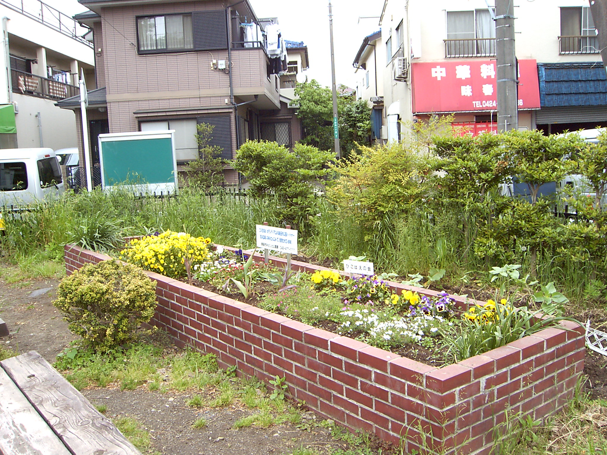 野寺公園の様子