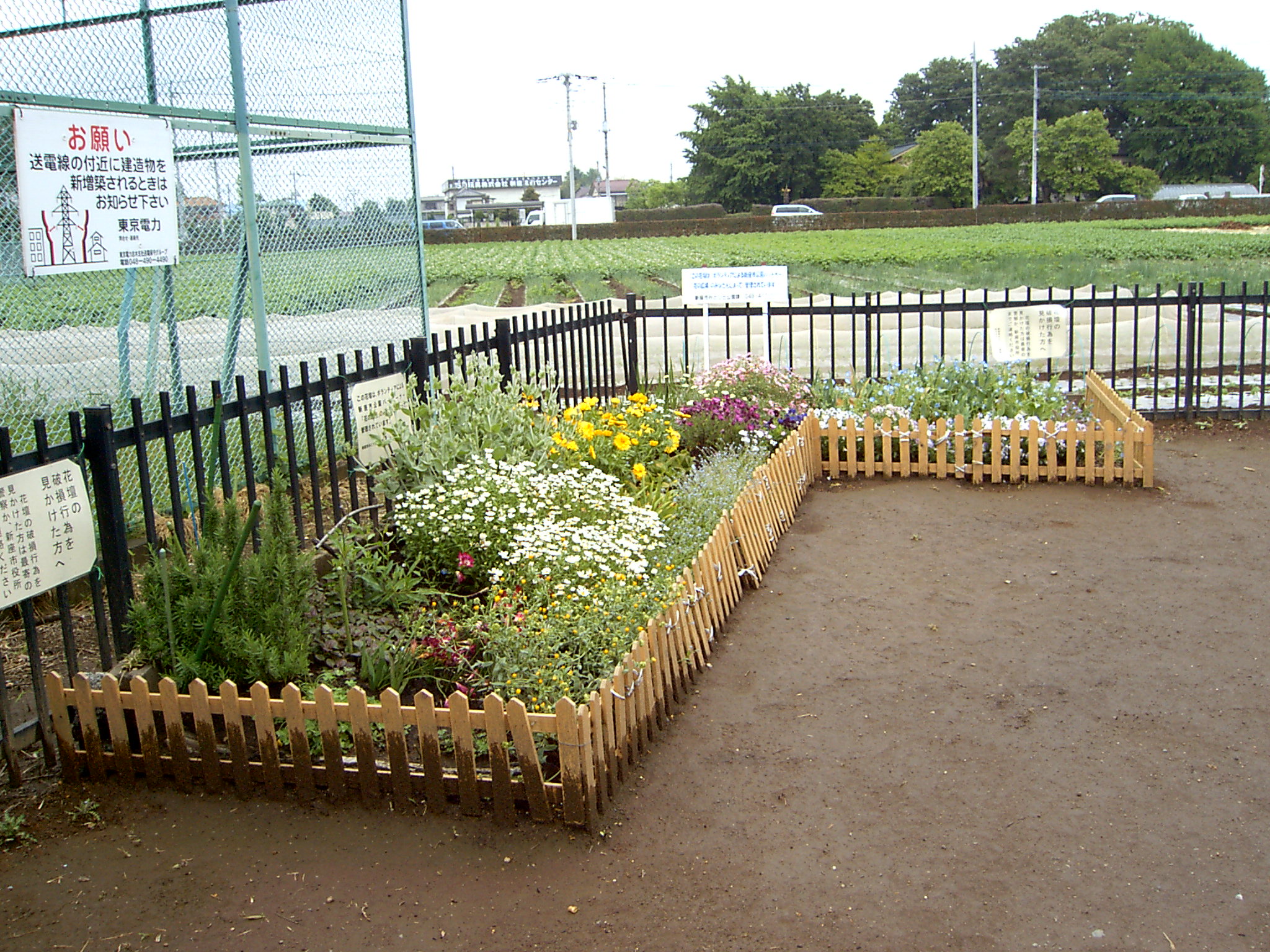 本多児童遊園の様子