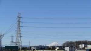 市内から望む富士山の写真です。