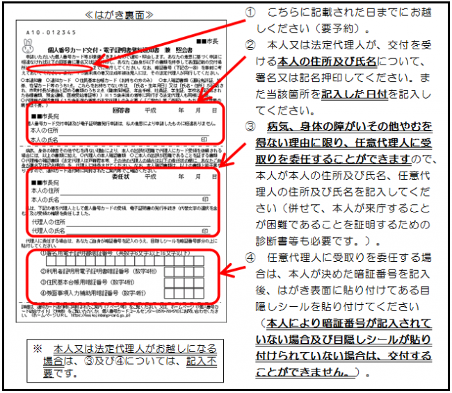 発行 マイ 書 交付 ナンバーカード 申請 再