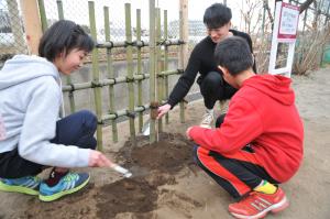 石神小学校　植樹