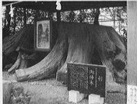 馬場の氷川神社の写真