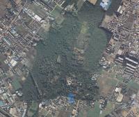 平林寺境内林の航空写真