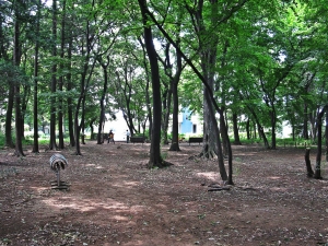 栗原緑地公園の写真