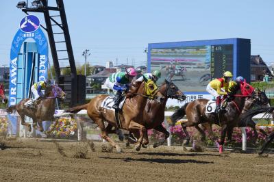写真提供：浦和競馬組合